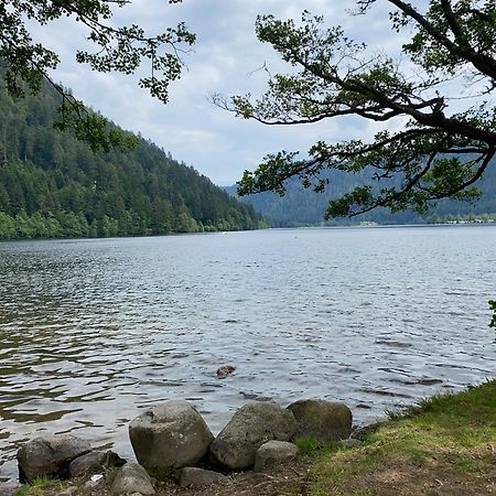 Charmant Chalet, Spacieux, Proche Du Lac, Vue Sur La Montagne Gérardmer Exteriör bild