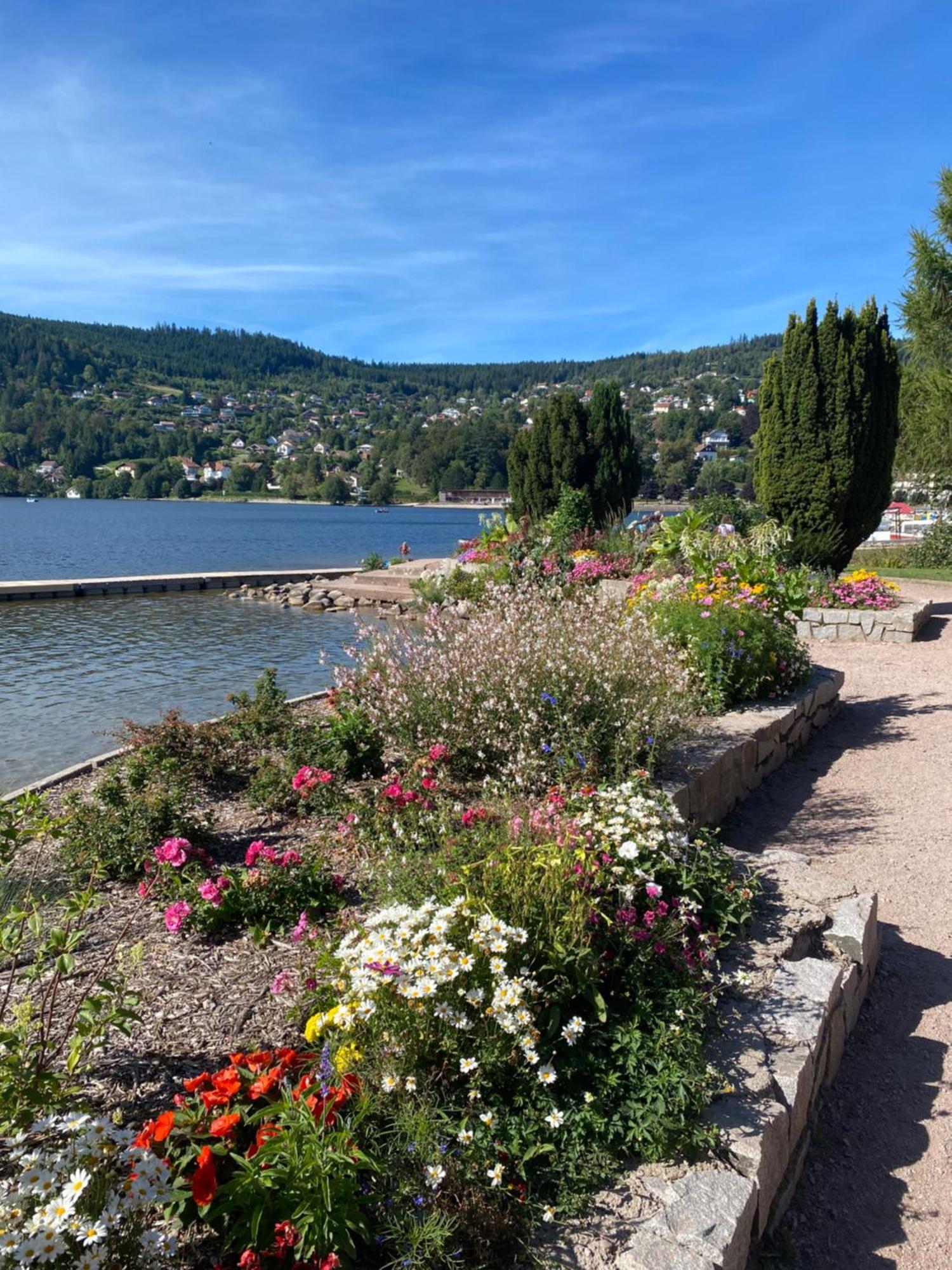 Charmant Chalet, Spacieux, Proche Du Lac, Vue Sur La Montagne Gérardmer Exteriör bild