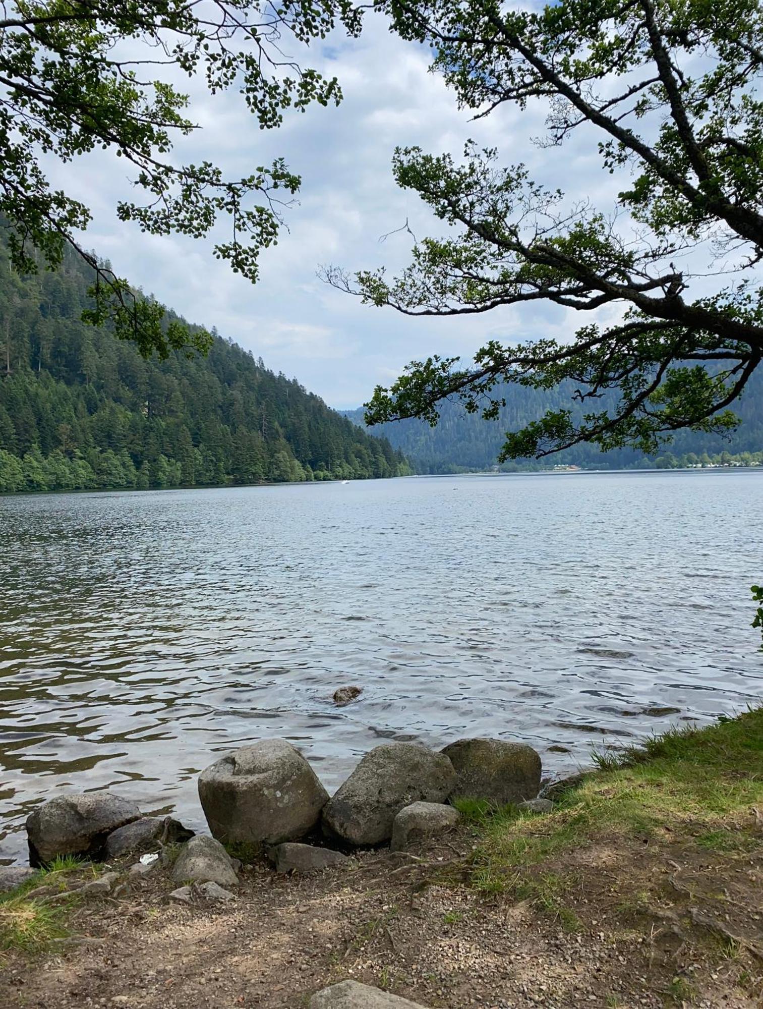 Charmant Chalet, Spacieux, Proche Du Lac, Vue Sur La Montagne Gérardmer Exteriör bild